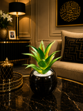 Black Round Decorative Planter Pot for Home & Office | Modern Indoor Plant Pot PL 00202