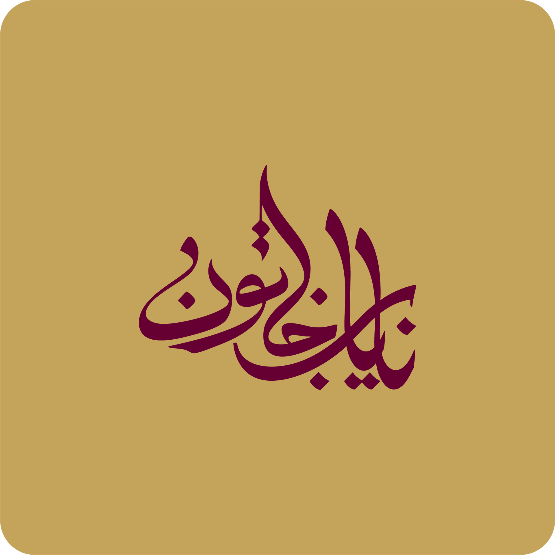 Nayab Khatoon