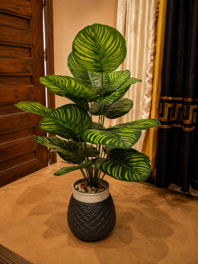 digibazar:product.image:111524