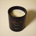 Spice Of Life Scented Candles