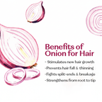 Onion Hair Oil 200ml