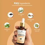 digibazar:/products/web_6df6d4ad-55f5-40e6-86ec-6f13e8044922.jpg