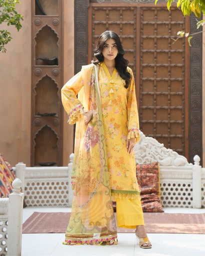 Rani Premium Womenswear  D6304